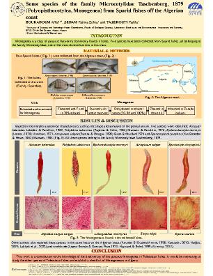 Poster 14