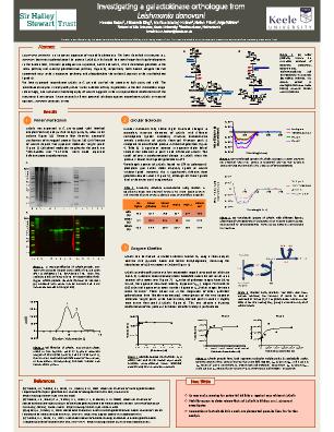 Poster 85