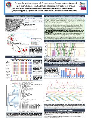 Poster 78