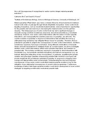 Poster 7