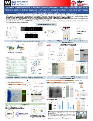 Poster 6
