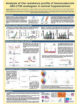 Poster 97