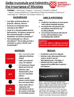 Poster 65