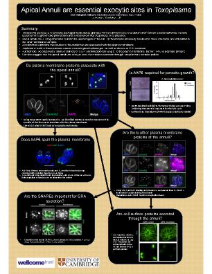 Poster 54