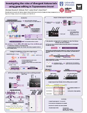 Poster 63