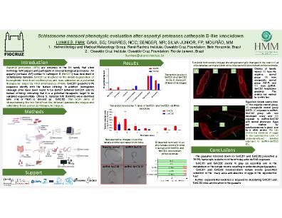 Poster 37