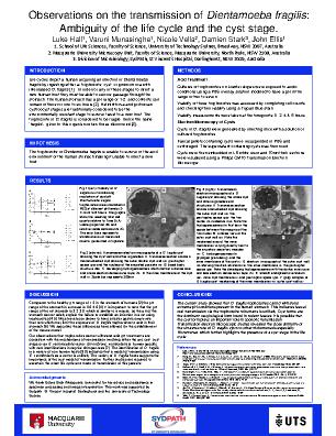 Poster 10