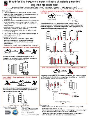 Poster 20