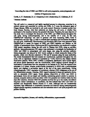 Poster 39