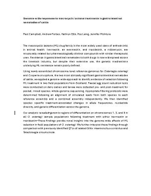 Poster 7