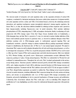 Poster 61