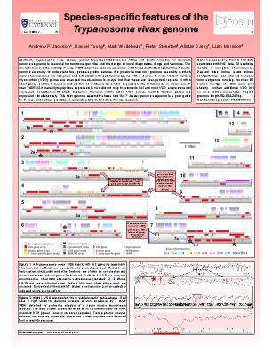Poster 91