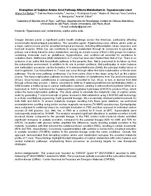 Poster 3