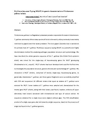 Poster 6