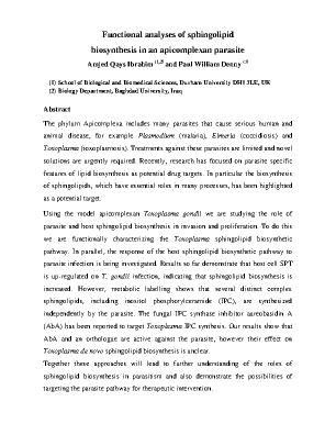 Poster 29