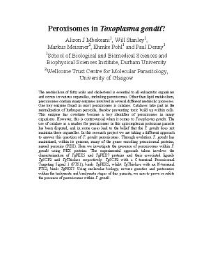 Poster 27