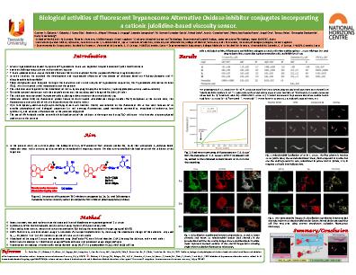 Poster 10
