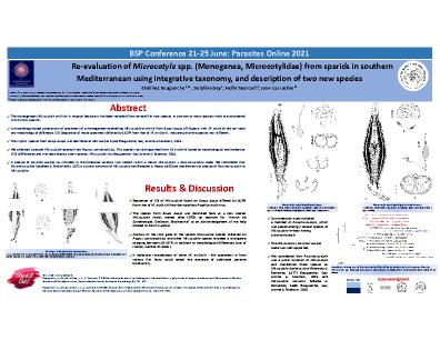 Poster 99