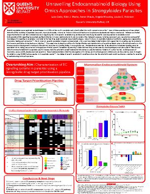 Poster 26