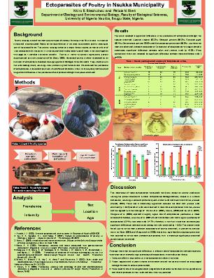 Poster 77