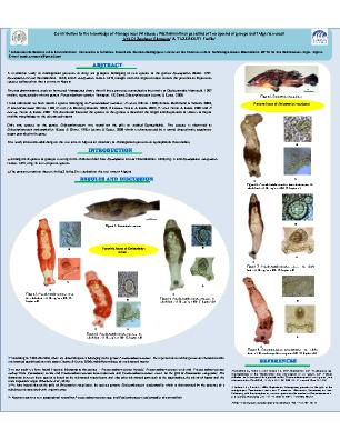 Poster 81