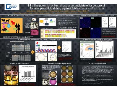 Poster 88