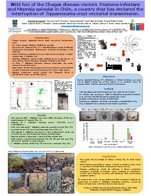 Poster 11