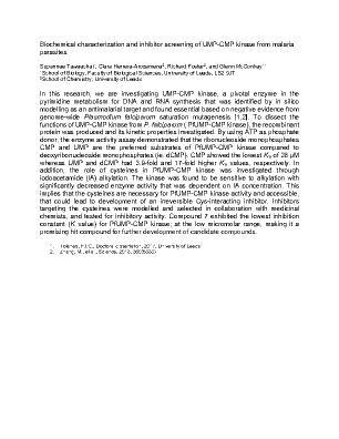 Poster 3
