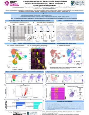 Poster 16