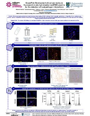 Poster 20
