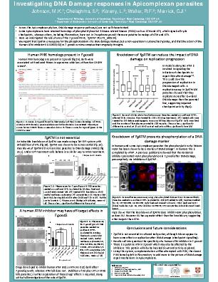 Poster 35