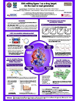 Poster 95