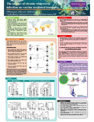 Poster 62