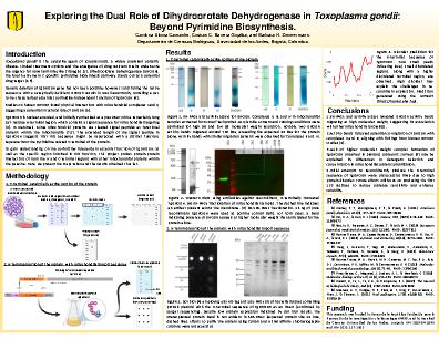 Poster 8